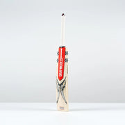 Ventus 1.1 5 Star Lite Cricket Bat - Adult