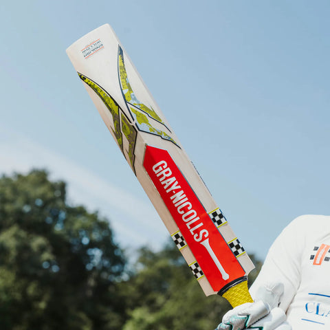 1.2 Players Cricket Bat - Adult