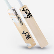 Phoebe Litchfield Players Replica Bat 2024/25